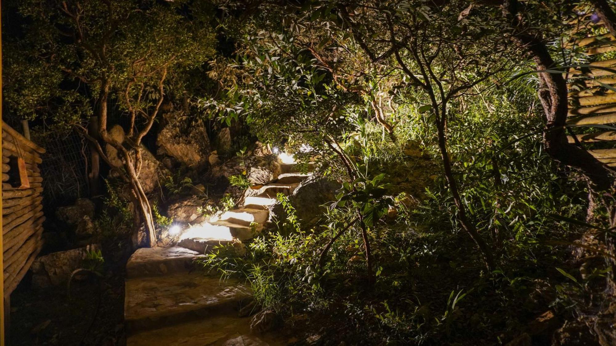 Vila Flor - Chapada Dos Veadeiros Алту-Параизу-ди-Гояс Экстерьер фото